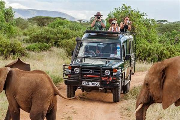 African Natural Tourism Experiences For Safari Seekers