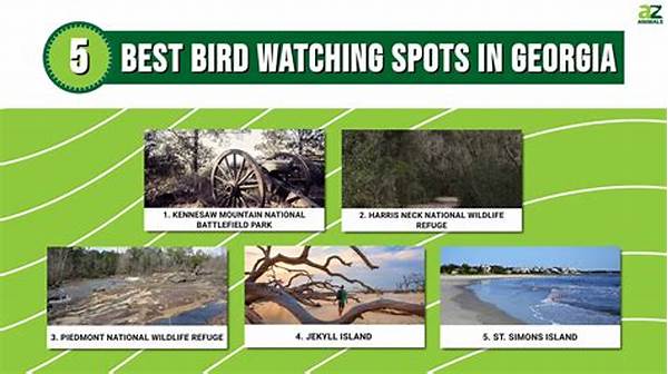 Bird Watching Spots In Natural Tourism Areas