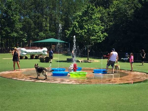 Riverside Park Dog-friendly Areas And Pet Policies