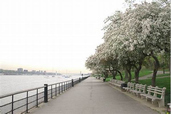 Riverside Park Parking Info And Best Entrance To Use