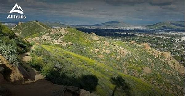 Scenic Walking Trails In Riverside Park For Families