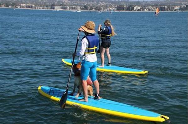 Where To Rent Boats Or Paddle Boards In Riverside Park