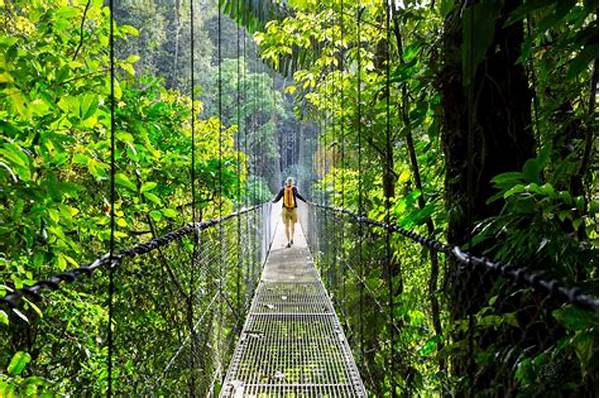 Eco-tourism Camping Spots In The Wild