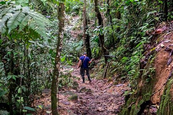 Jungle Trekking Destinations For Eco-adventure
