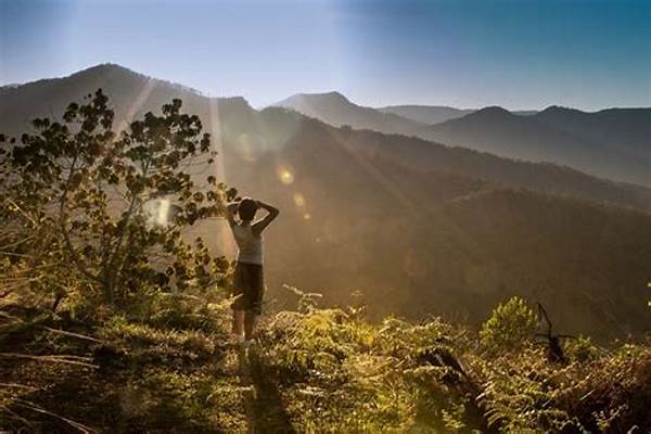 Nature Retreats For Digital Detox And Relaxation