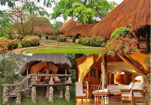 Top Eco-lodges In Natural Tourism Destinations