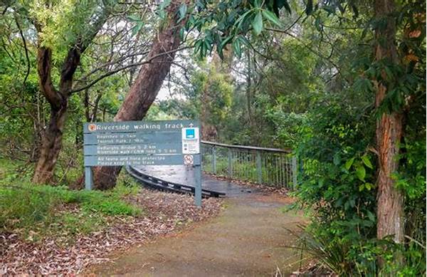 Riverside Parks With A Tracking Path Through A Small Forest