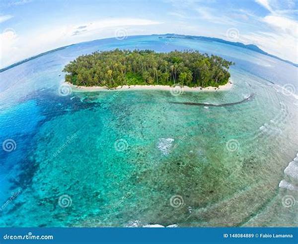 Aceh Natural Tourist Destinations Coral Reef Tours Viral September