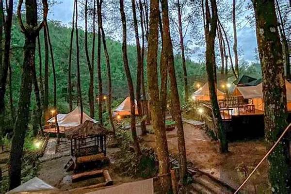 Bandung Natural Tourist Destinations Glamping Experiences Admired