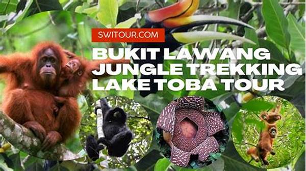 Sumatra Natural Tourist Destinations Jungle Trekking Trending Globally