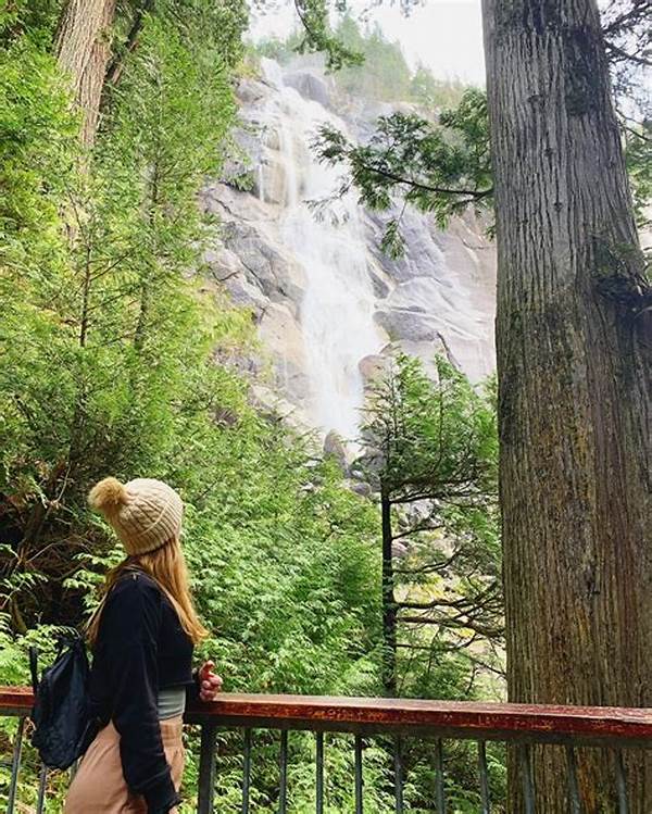 Why Honeymooners Recommend The Natural Fence Tourist Destination Now