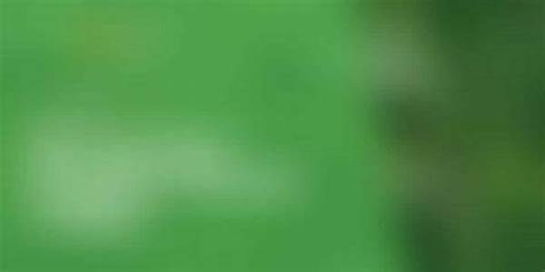 Affordable Eco Lodges At Aceh Natural Tourist Destinations 2025