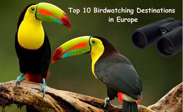 Natural Tourist Destinations Admired For Birdwatching Tours Worldwide