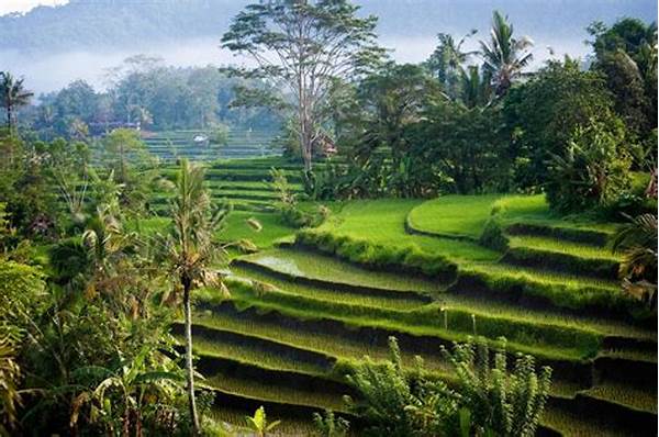 Natural Tourist Destinations In Indonesia Admired For Eco-friendly Tours