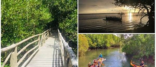 The Natural Fence Tourist Destination Eco Park Admired This September