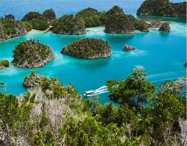 Why Digital Nomads Recommend Raja Ampat Natural Tourist Destination